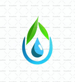 Wassertropfen und Blatt